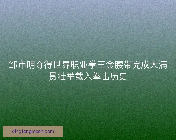 邹市明夺得世界职业拳王金腰带完成大满贯壮举载入拳击历史